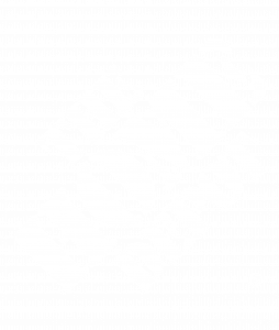 Home Depot